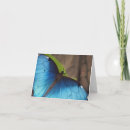 Suche nach morpho karten Flügel