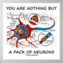 Suche nach neuron poster Biologie