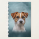 Suche nach jack russell büro zubehör Niedlich