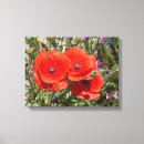 Suche nach mohnblume leinwandbilder Flora