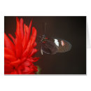 Suche nach papilio postkarten Fehler