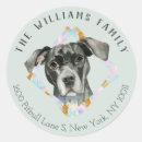 Suche nach dog portrait Pillbulle