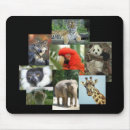 Suche nach wilder wolf mousepads Natur