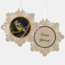 Suche nach waxwing Zeder