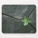 Suche nach photographisch mousepads Photographische studien
