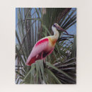 Suche nach löffel puzzle Vogelvogel