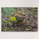 Suche nach spatz puzzle Tierwelt