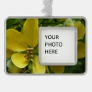 Suche nach dusche ornamente Blumenreich