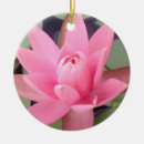 Suche nach lilie ornamente rosa