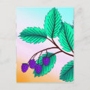Suche nach ihr blackberry postkarten Beeren