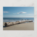 Suche nach driftwood poster Baum