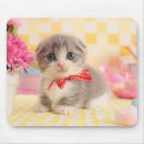 Suche nach sitzen mousepads Babytiere