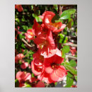 Suche nach schrein poster Blume