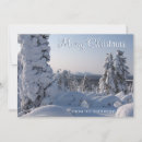 Suche nach tannenbaum karten Winterwunderland