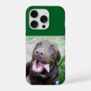 Suche nach labrador iphone hüllen Haustier