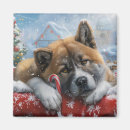 Suche nach akita magnete Weihnachten