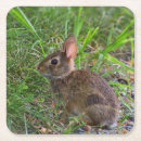 Suche nach ihr abschluss untersetzer Party