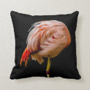 Suche nach flamingo kissen Wohnzimmer