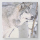Suche nach lupus untersetzer Wolf