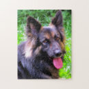 Suche nach schäferhund puzzle Deutsch