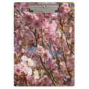 Suche nach kirsche klemmbrett Blume
