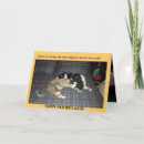 Suche nach cockerspaniel karten Haustier