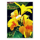 Suche nach plantage postkarten Tropisch