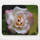 Suche nach regentropfen mousepads Rose