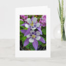 Suche nach flower karten Columbine