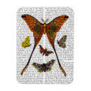 Suche nach motten magnete Antike