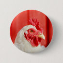 Suche nach lustiger hahn buttons Bauernhof