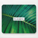 Suche nach grünes blatt mousepads Foto