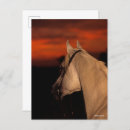 Suche nach arabische sprache postkarten Grau