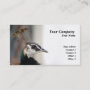 Suche nach pfau visitenkarten Geschäft