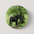 Suche nach schwarze pferde runde buttons Niedlich