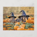 Suche nach halloween dackel postkarten Lustig