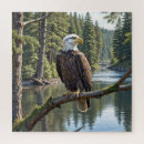 Suche nach weißkopfseeadler puzzle Vogel