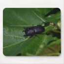 Suche nach käfer mousepads Naturfotografie