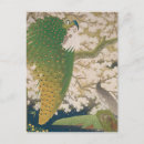 Suche nach kirschbaum postkarten Kirschblüten