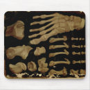 Suche nach anatomisch mousepads 16