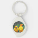 Suche nach parakeet accessoires Vogel