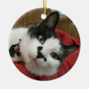 Suche nach schwarzweiss katze ornamente Kätzchen