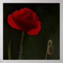 Suche nach dunkler hintergrund poster Blumenreich