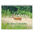 Suche nach kaninchen in einem kalender Wild lebende tiere