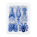 Suche nach kraken magnete Steampunk