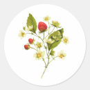 Suche nach vintage erdbeeren aufkleber Natur