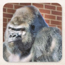 Suche nach gorilla untersetzer Lustig