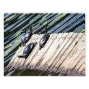 Suche nach bretter poster Natur