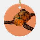 Suche nach lustige schildkröten ornamente Spaß