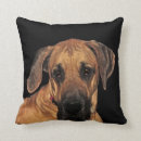 Suche nach dogge kissen Great dane
